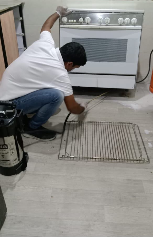 Novaroots Project 56